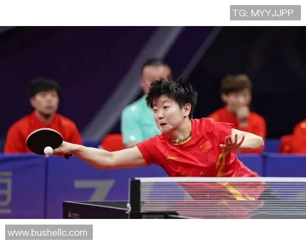 乒乓球精神：杭州乒乓球队奋斗历程的真实记录与感悟