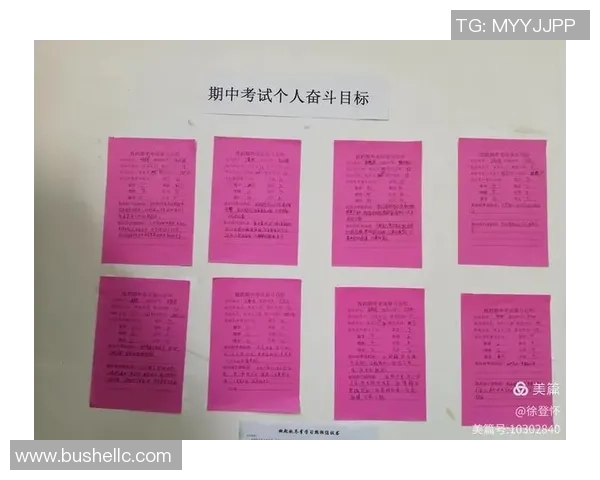 北京攀岩队在马拉松大满贯中的心理素质表现分析与点评