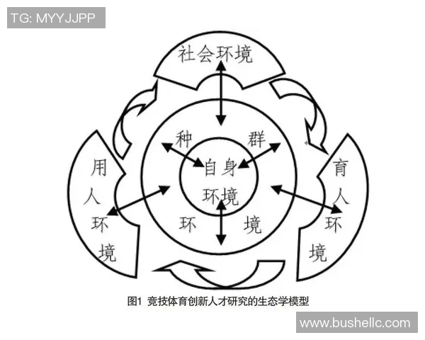 武汉网球队技术探讨：提升竞技水平与战术创新的关键要素