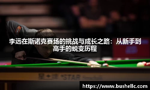 李远在斯诺克赛场的挑战与成长之路：从新手到高手的蜕变历程